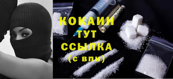 сатива Баксан