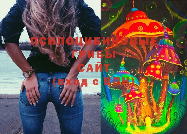 сатива Баксан