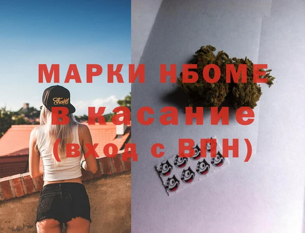 сатива Баксан