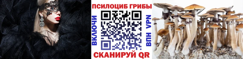blacksprut онион  продажа наркотиков  Староминская  Псилоцибиновые грибы Psilocybine cubensis 