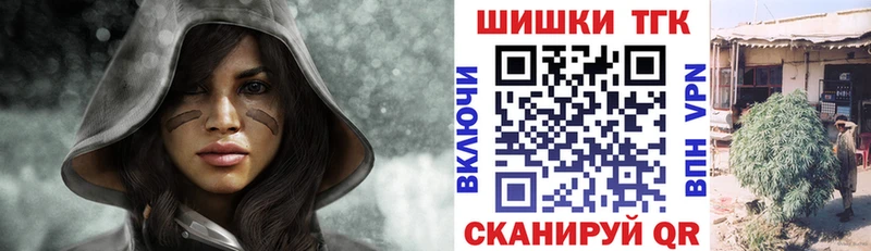 Каннабис гибрид  Староминская 
