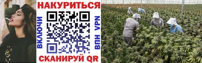 Шишки марихуана индика Староминская